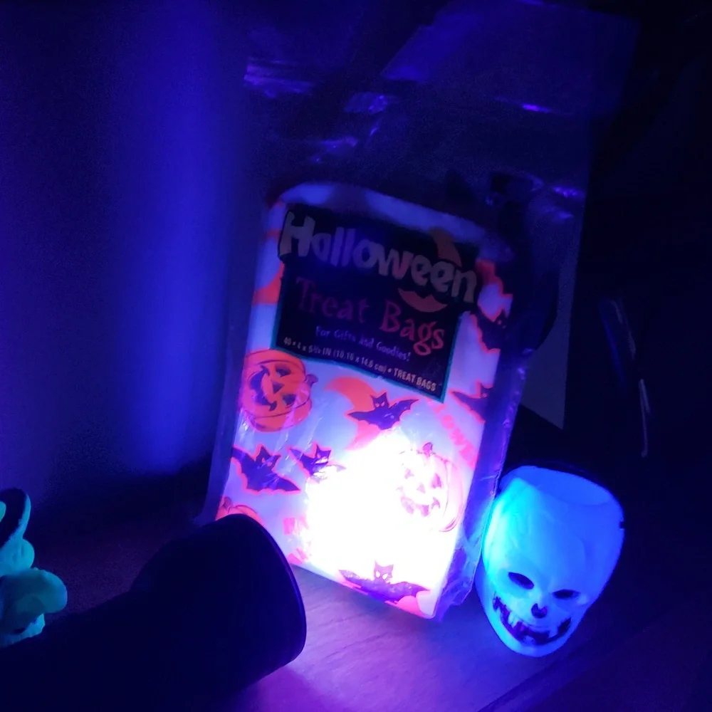 Vintage Holloween Treat Bags Candy Containers